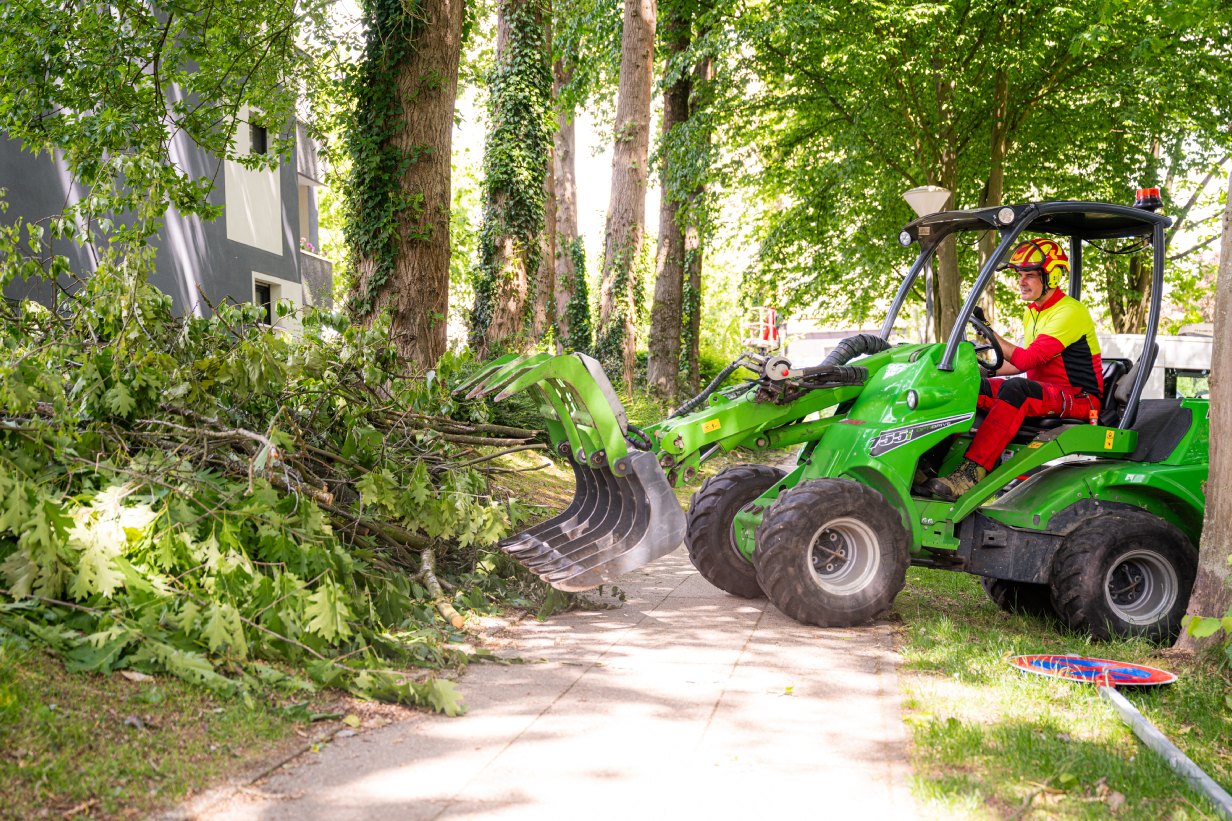 Mitarbeiter entfernt Äste mit einem Frontlader beim Baummanagement. Mitarbeiter entfernt Äste mit einem Frontlader beim Baummanagement.