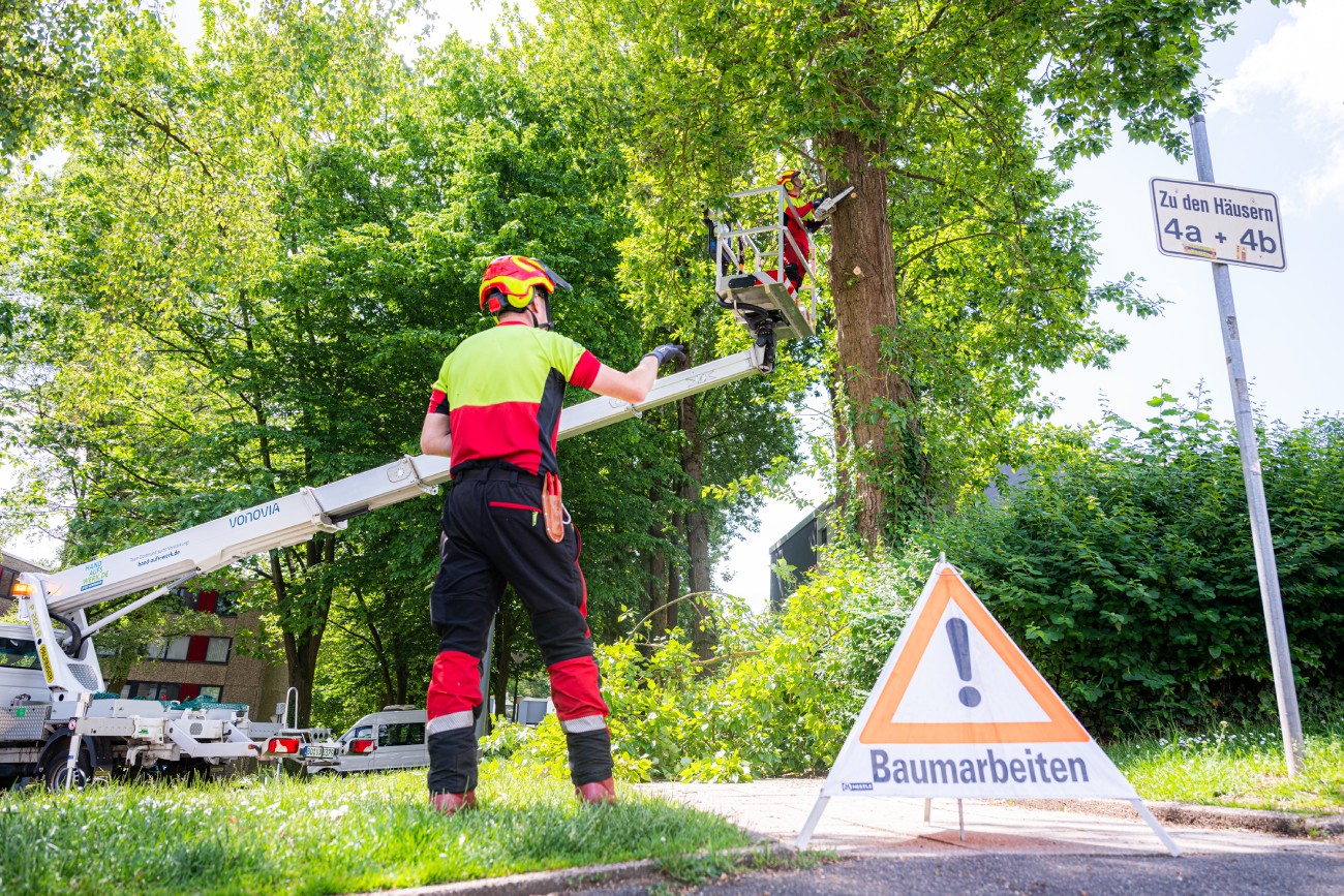 Zwei Mitarbeitende in Schutzausrüstung bei Baumarbeiten. Zwei Mitarbeitende in Schutzausrüstung bei Baumarbeiten.