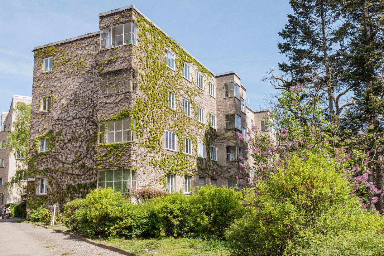 Gepflegtes Wohnviertel durch den Grünflächen- und Gebäudeservice. Gepflegtes Wohnviertel durch den Grünflächen- und Gebäudeservice.