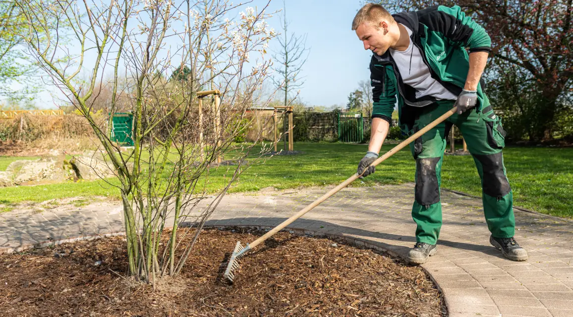 Vonovia Gärtner harkt ein Beet mit Rindenmulch. Vonovia Gärtner harkt ein Beet mit Rindenmulch.