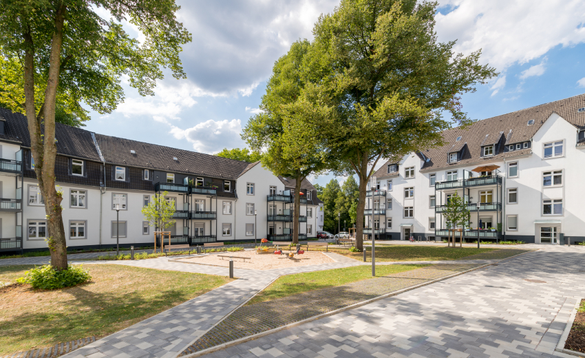 Frisch eingesätes Quartiersgelände.