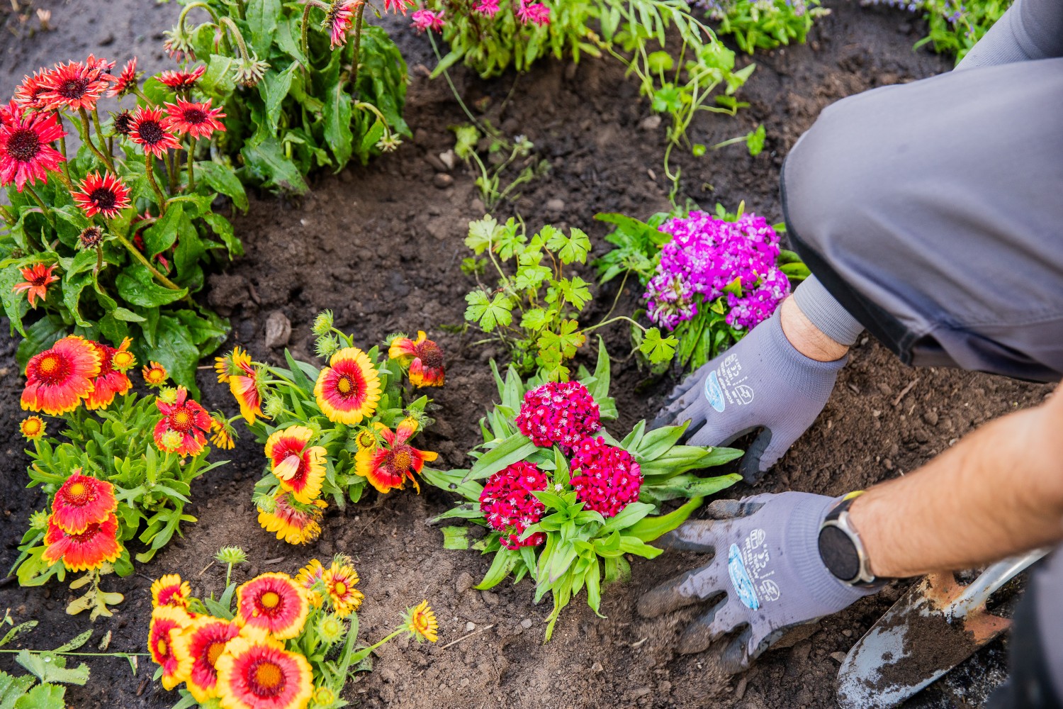 Vonovia Mitarbeiter kniet neben einem frisch bepflanztem Blumenbeet.